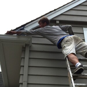 Painters in Langley Seasonal Painting Tips