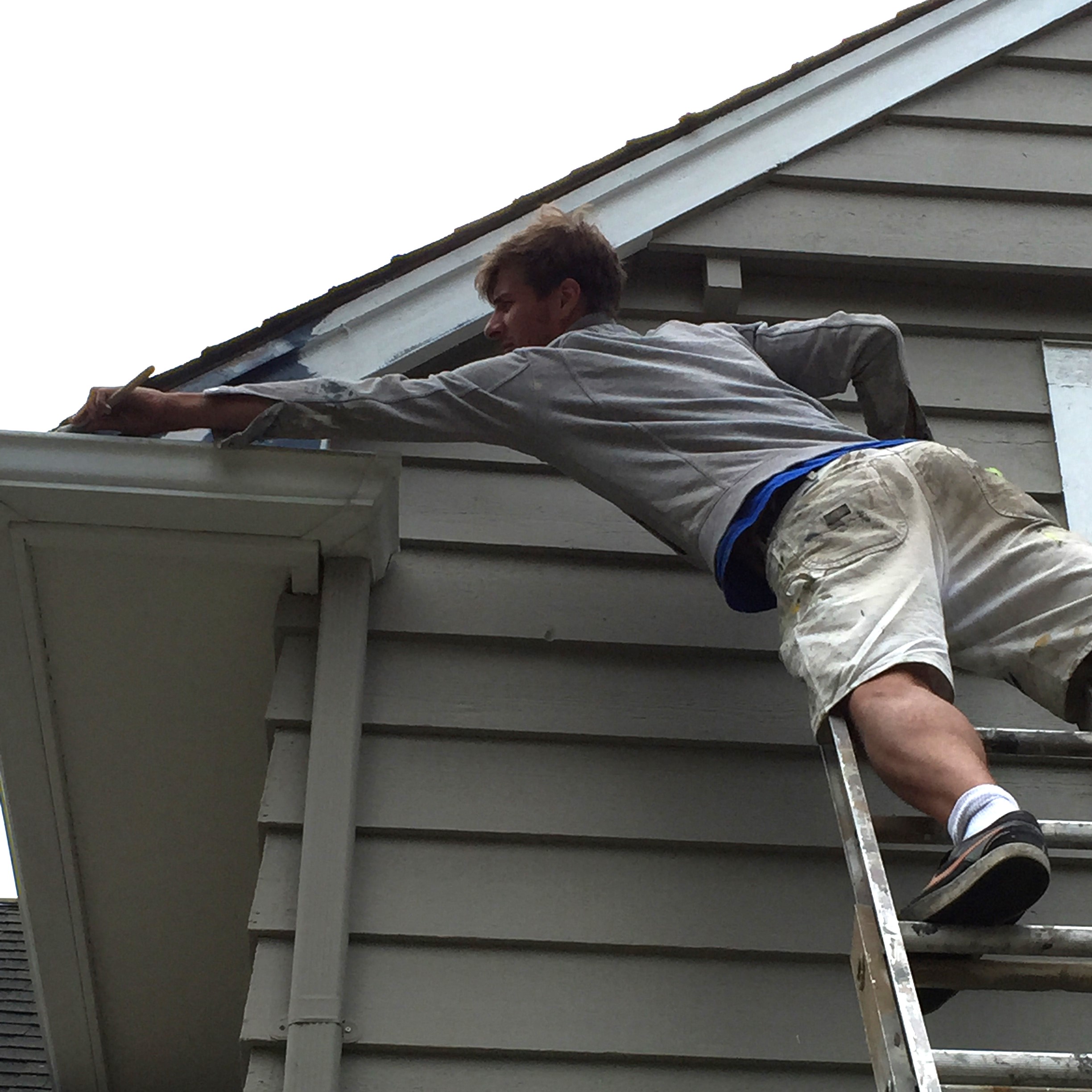 Painters in Langley Seasonal Painting Tips