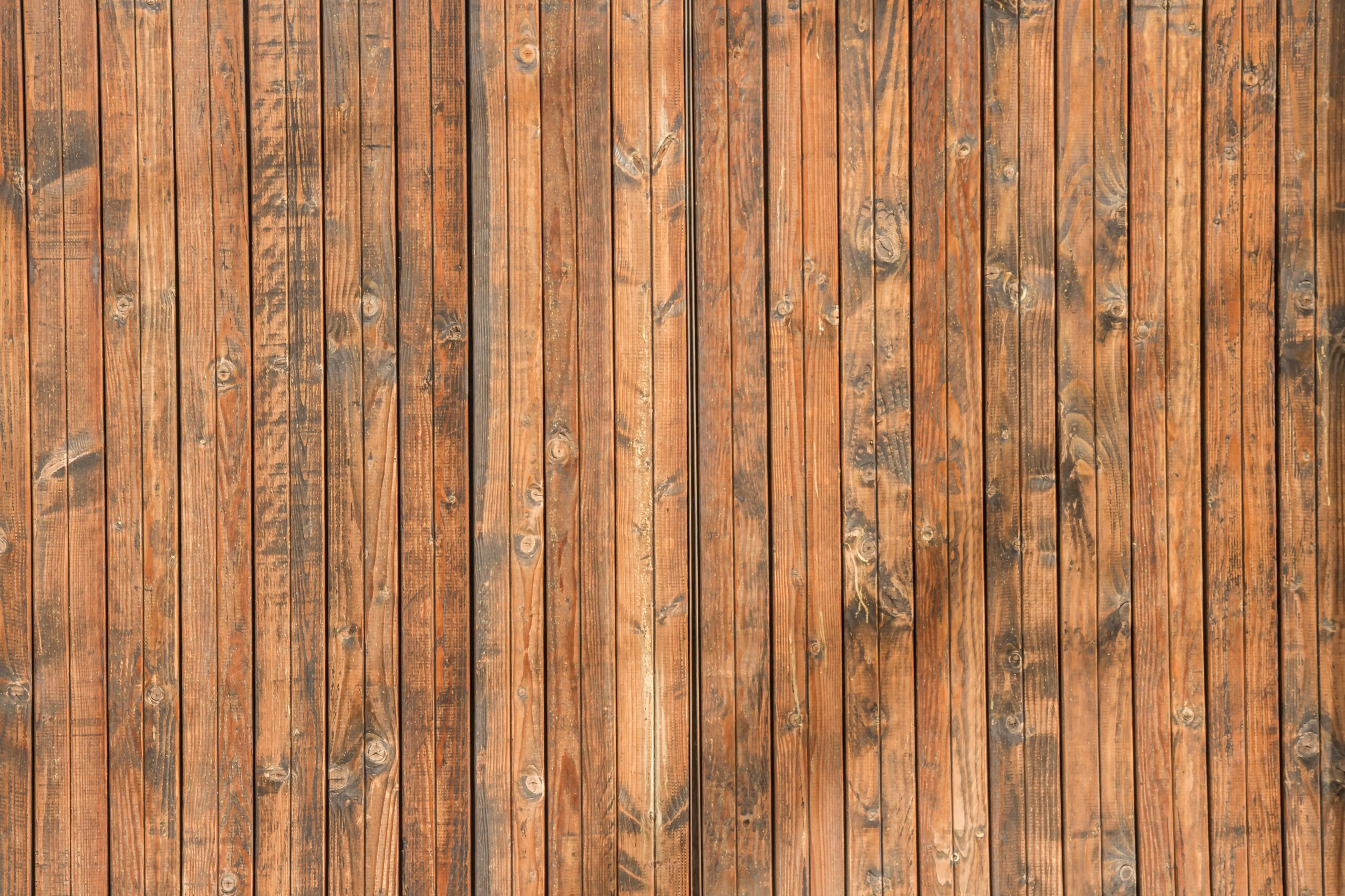 Painters in White Rock Fence Staining